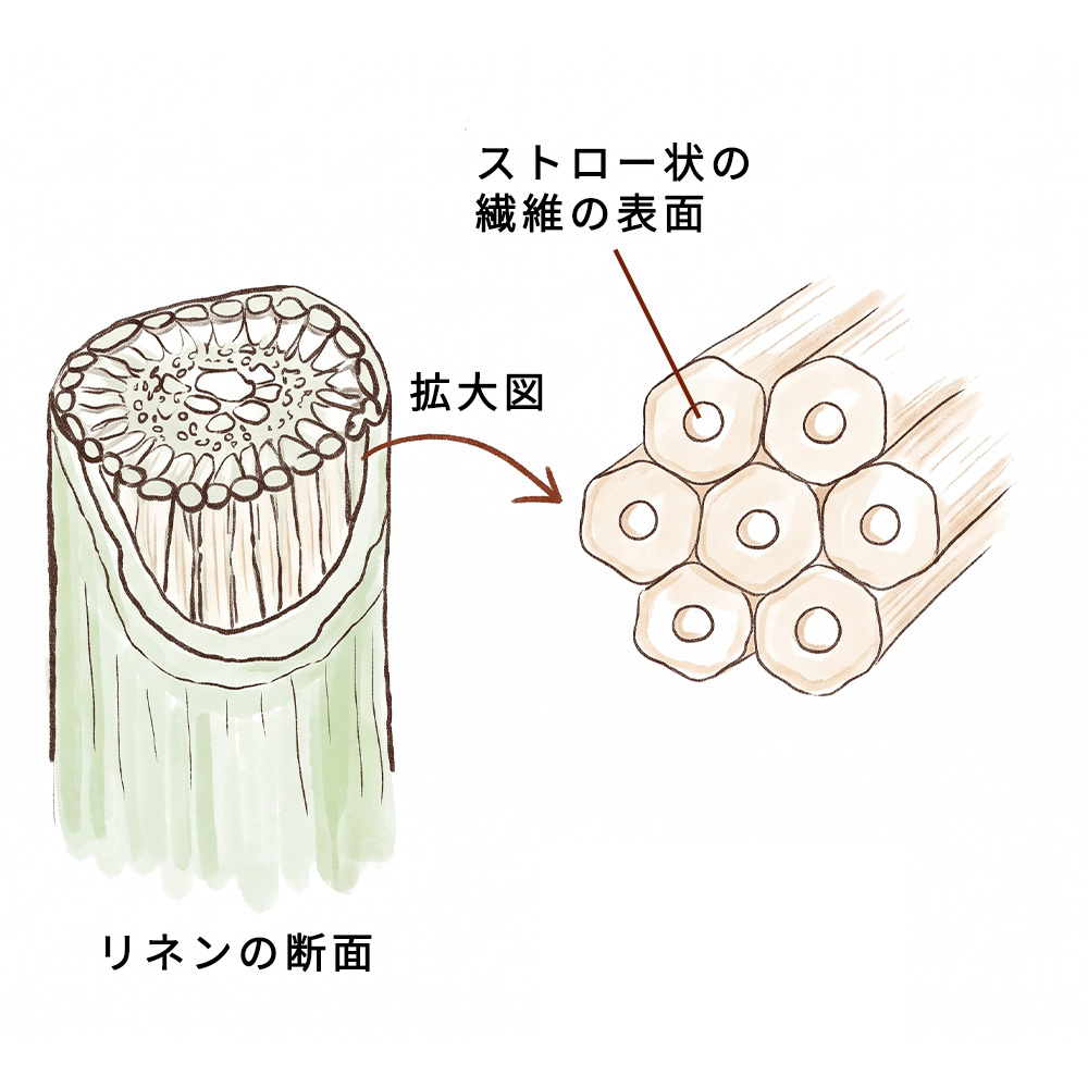 軽い