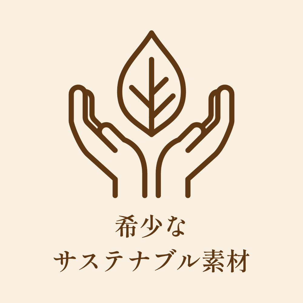 画像説明文を入れてください